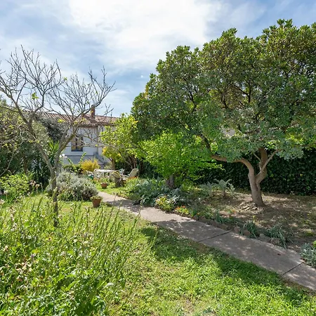 La Voute Carcassonne